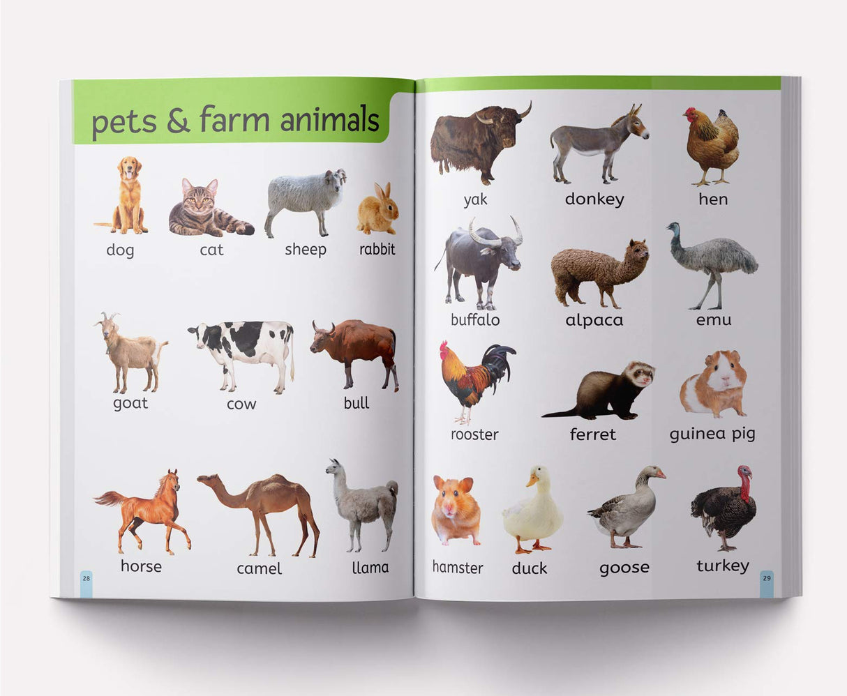 My First 1000 Words: Early Learning Picture Book to learn Alphabet, Numbers, Shapes and Colours, Transport, Birds and Animals, Professions, Opposite Words, Action Words, Parts of the body and Objects Around Us. - Retail Maharaj