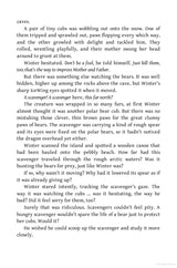 WINGS OF FIRE #07: WINTER TURNING - Retail Maharaj