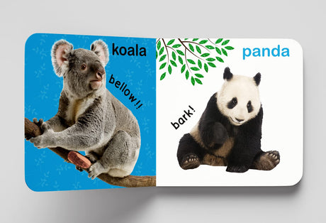 My First Book of Touch And Feel - Wild Animals : Touch And Feel Board Book For Children - Retail Maharaj