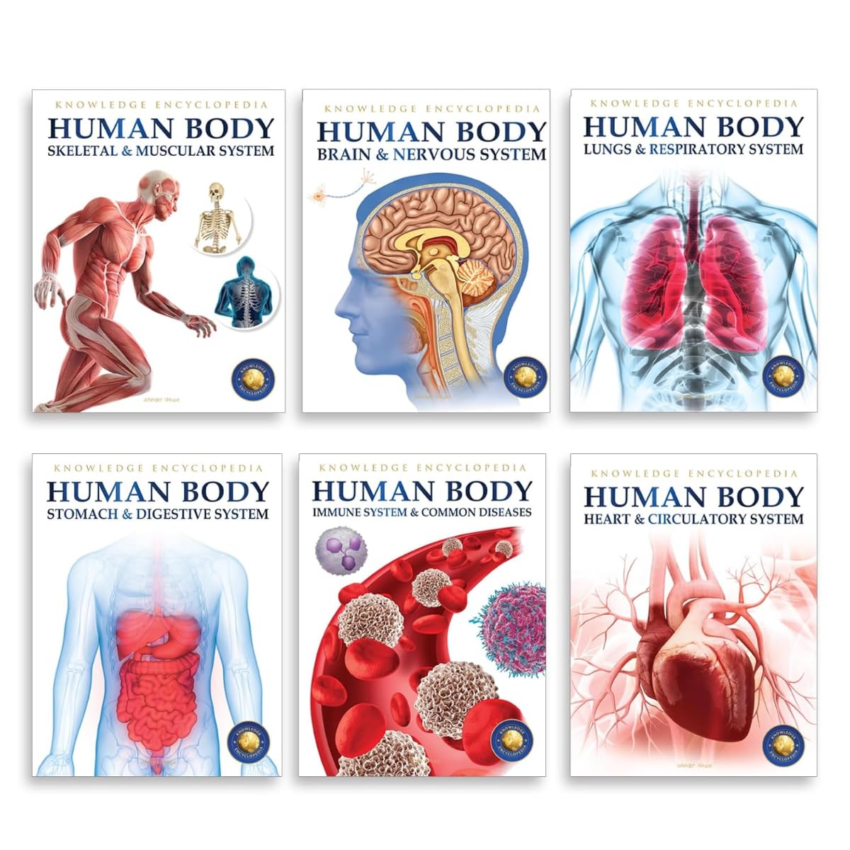 Human Body Box Set: Knowledge Encyclopedia For Children - Retail Maharaj