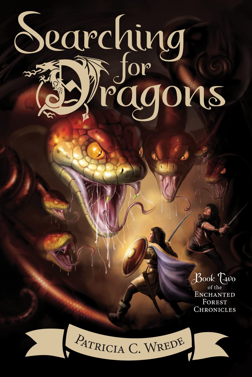 Searching For Dragons - Retail Maharaj