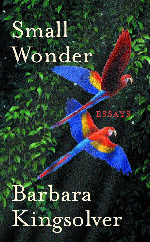 Small Wonder: Author of Demon Copperhead, Winner of the Women’s Prize for Fiction - Retail Maharaj