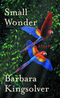 Small Wonder: Author of Demon Copperhead, Winner of the Women’s Prize for Fiction - Retail Maharaj