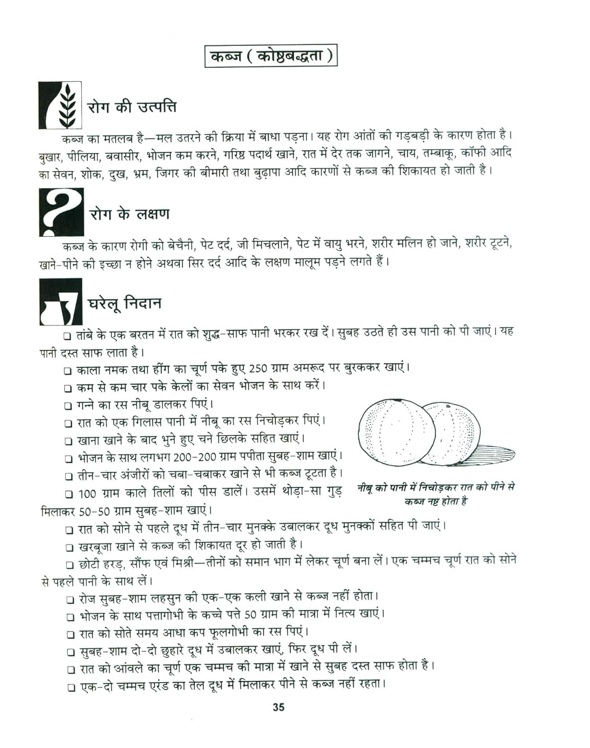 Swasthya Vigyaan : Gharelu Chikitsa Kosh (Hindi Edition) - Retail Maharaj