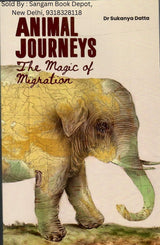 Animal Journeys - The Magic Of Migration