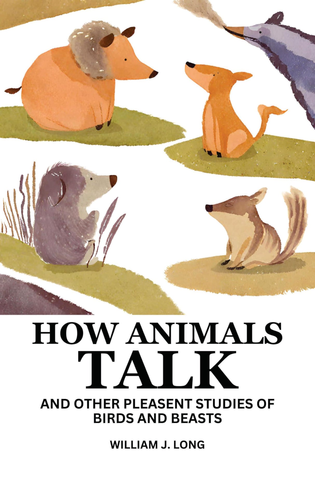 How Animals Talk : And Other Pleasent Studies Of Birds And Beasts - Retail Maharaj