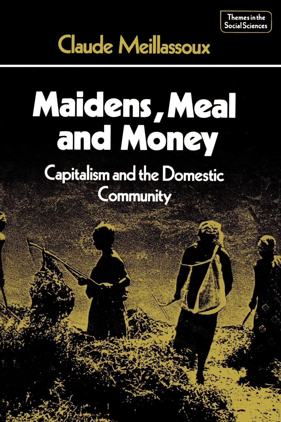 Maidens, Meal and Money: Capitalism and the Domestic Community (Themes in the Social Sciences) - Retail Maharaj