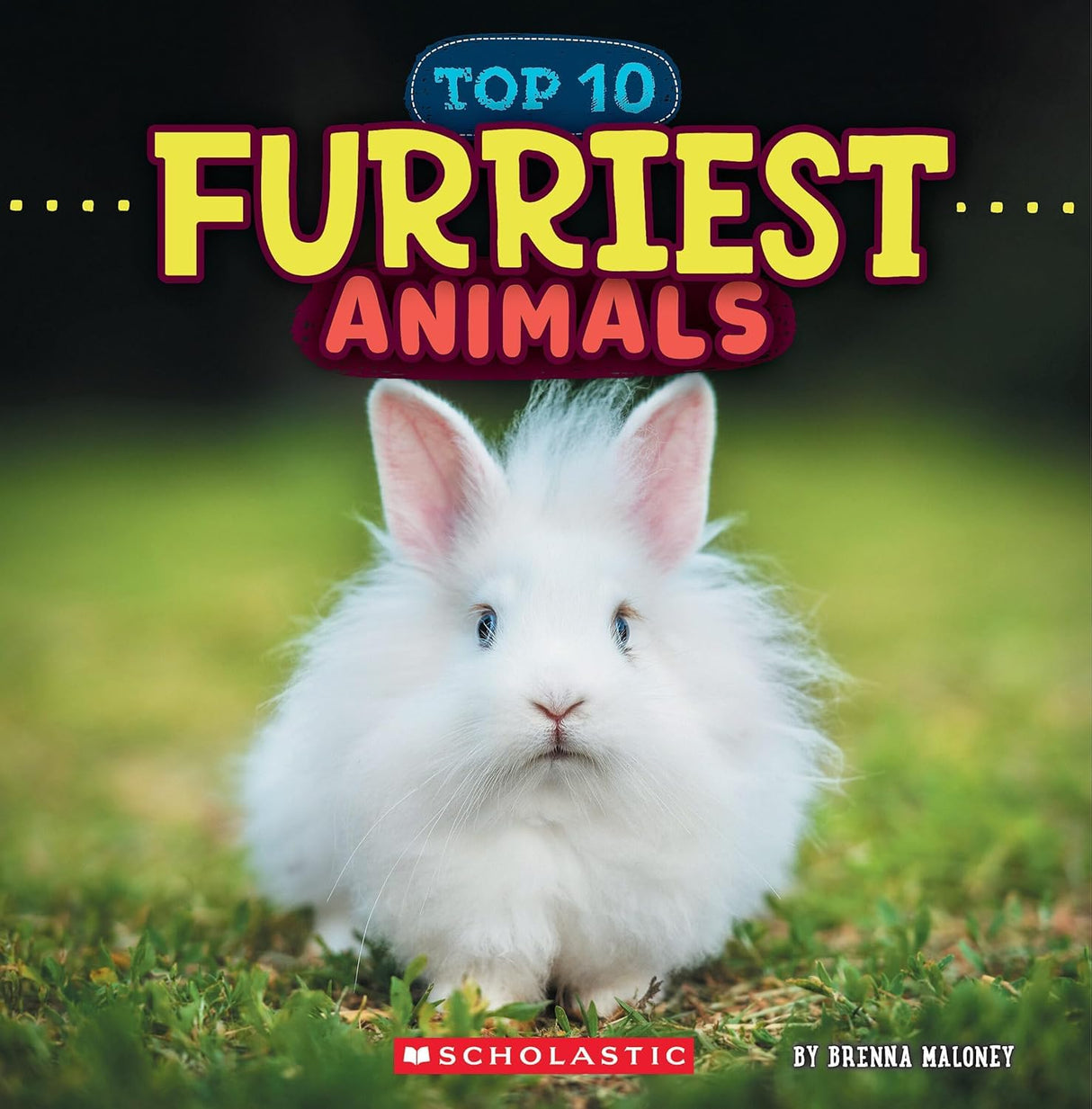 Furriest Animals (Wild World: Top 10) - Retail Maharaj