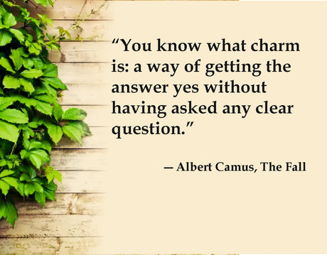 Best of Albert Camus - Set of 4 Books - Retail Maharaj