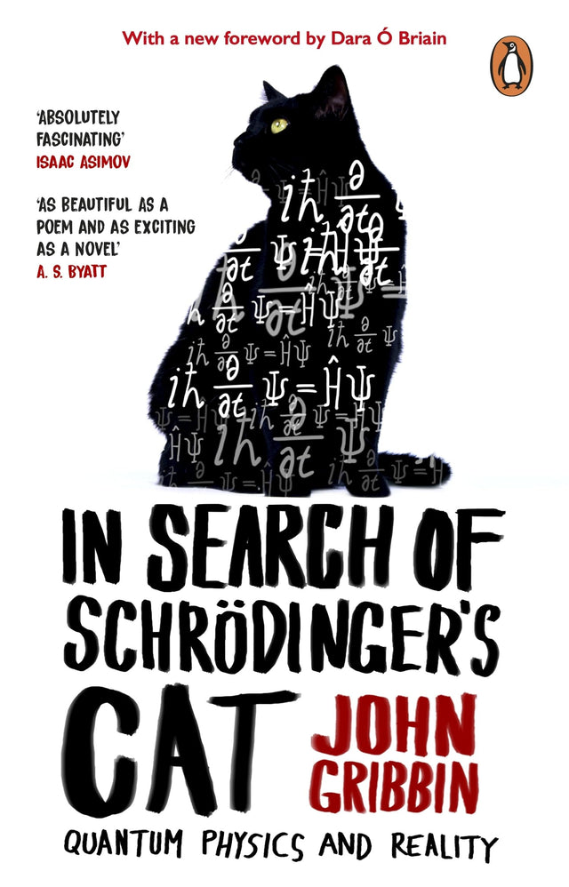 In Search Of Schrodinger's Cat: Updated Edition - Retail Maharaj