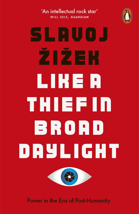 Like A Thief In Broad Daylight - Retail Maharaj