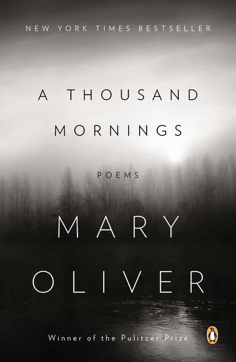 A Thousand Mornings: Poems - Retail Maharaj