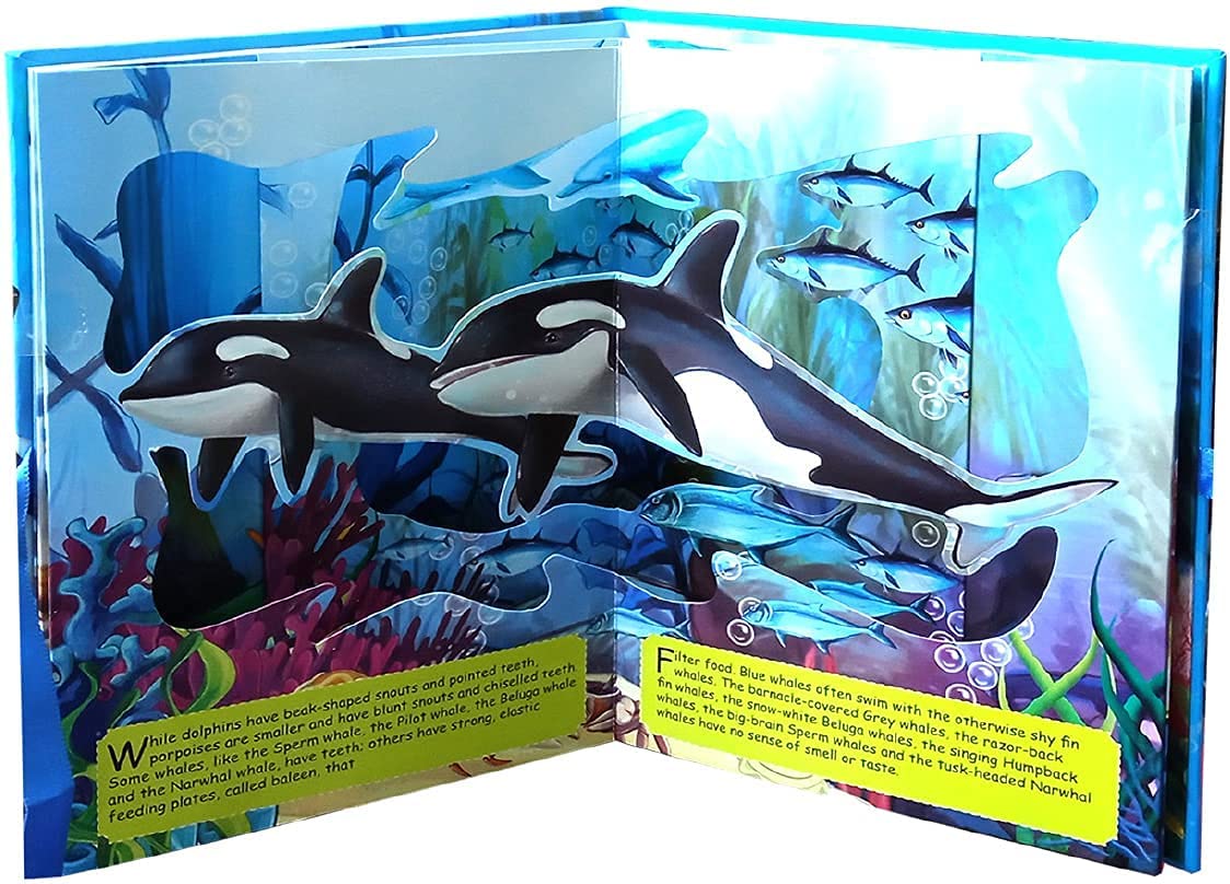 Hello Friend Under The Ocean 3d Carousel Pop-Up Book - Retail Maharaj