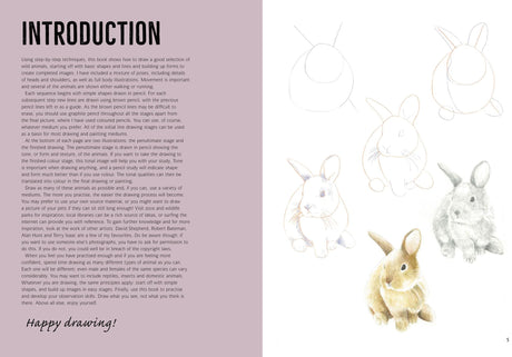 How to Draw Woodland Animals In Simple Steps - Retail Maharaj