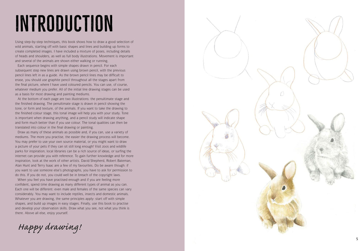 How to Draw Woodland Animals In Simple Steps - Retail Maharaj
