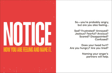 A Kids Book About Anger - Retail Maharaj