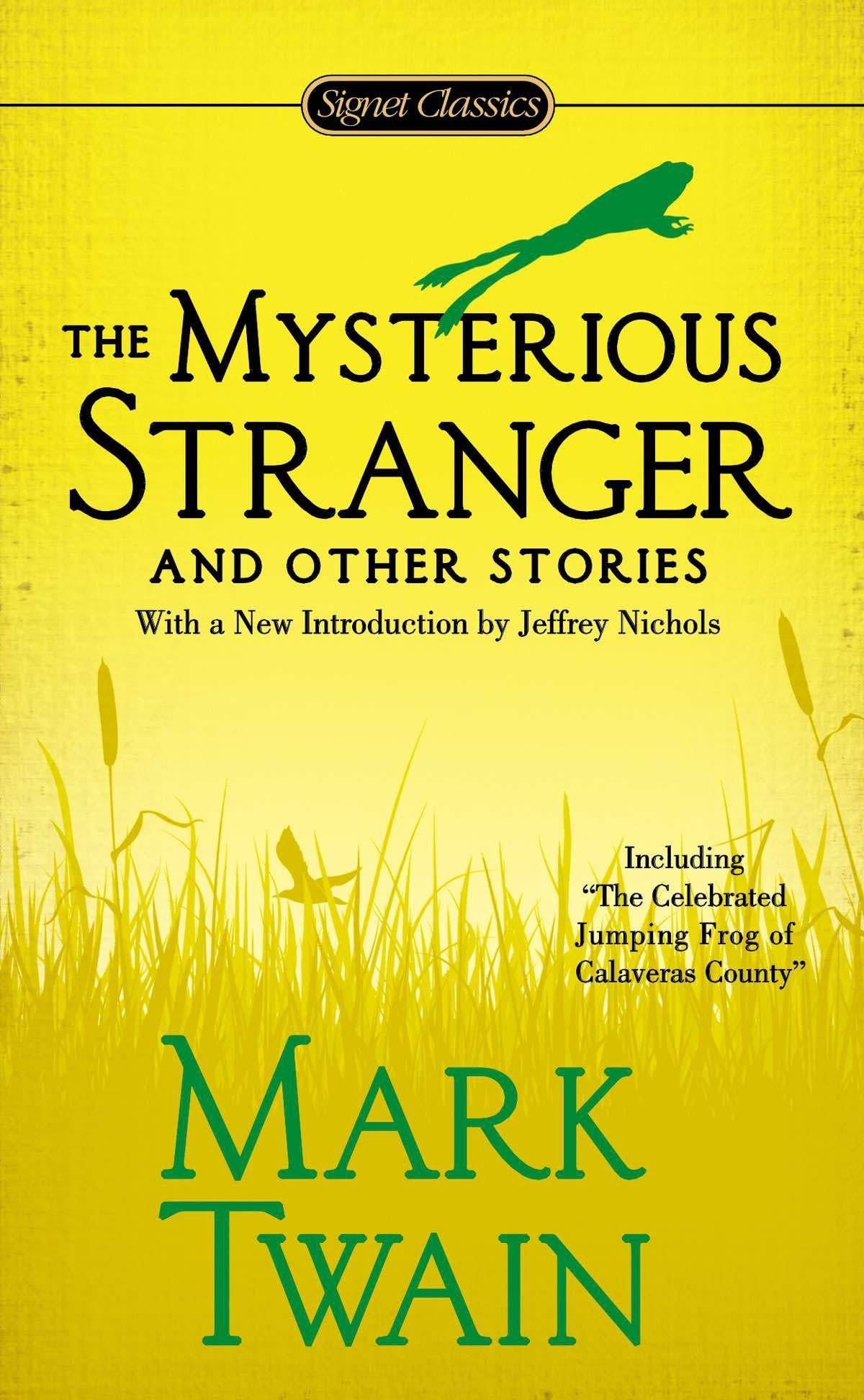 The Mysterious Stranger and Other Stories - Retail Maharaj