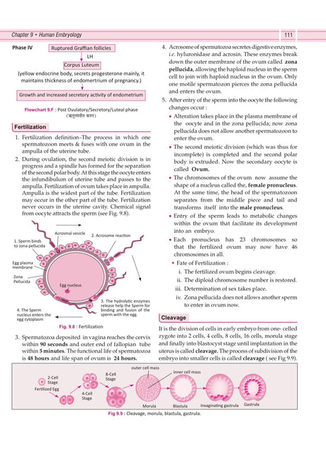 Illustrated Textbook of Rachna Sharir (Vol-1) (सचित्र रचना शारीर) Modern and Ayurveda anatomy with Clinical & Applied aspects based on new NCISM curriculum for BAMS 1st Professional - Retail Maharaj