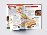 Human Body - Skeletal And Muscular System: Knowledge Encyclopedia For Children - Retail Maharaj
