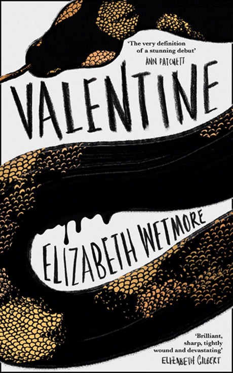 Valentine: A Stunning Debut and a New York Times Bestseller - Retail Maharaj