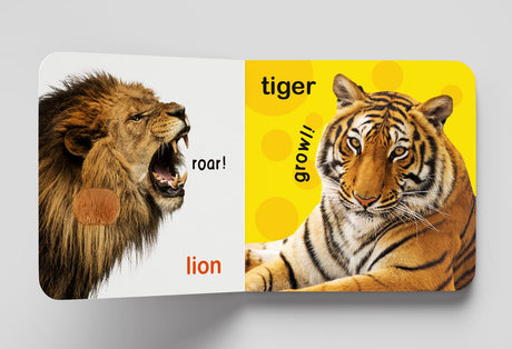 My First Book of Touch And Feel - Wild Animals : Touch And Feel Board Book For Children - Retail Maharaj