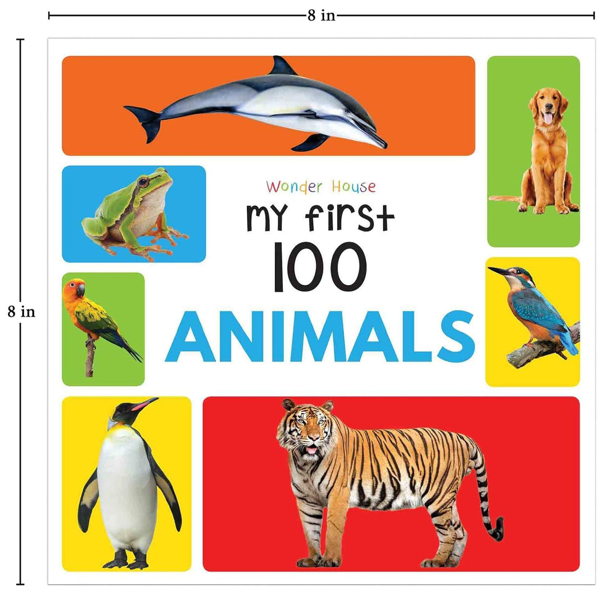 My First 100 Series Boxset- Pack of 5 Picture Books for Children (Animals, Words, Numbers, Food We Eat and Things That Move) - Retail Maharaj