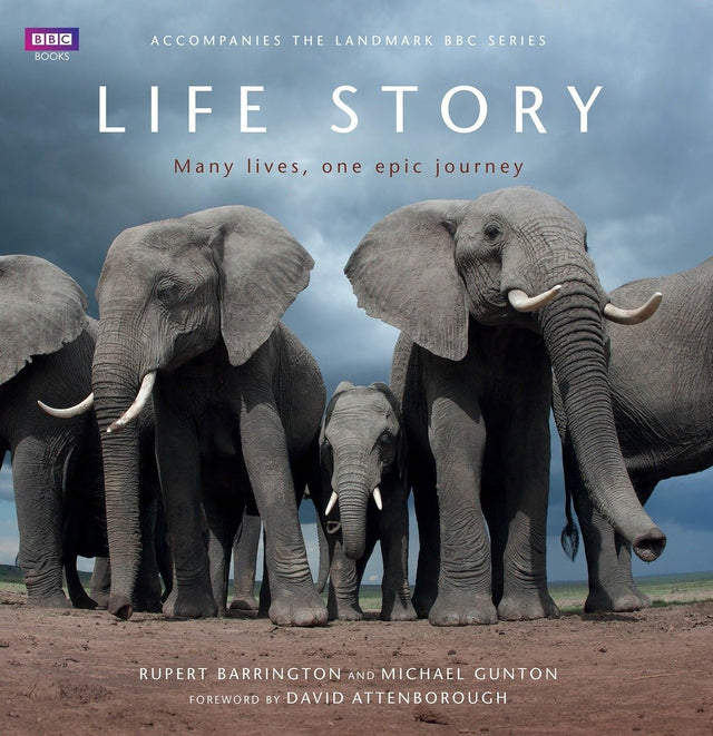 Life Story: Many Lives, One Epic Journey - Retail Maharaj