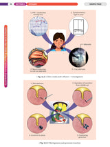 Illustrated Textbook of ENT and Head & Neck Surgery (1st Edition 2025) - Retail Maharaj