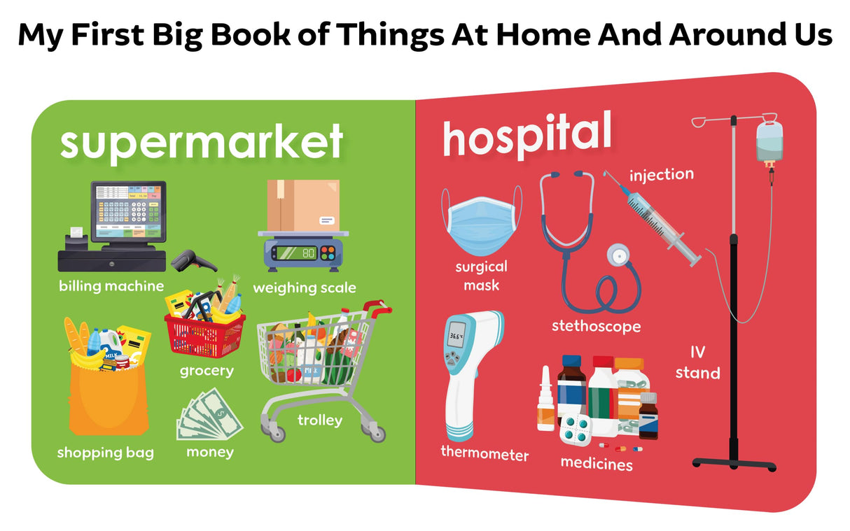 My First Big Book Boxset-Volume 2 (5 Books): A Pizza Box of 5 Large Font Illustrated Board Books on Animals, Birds, Fruits and Vegetables, Seasons, Opposites and Things at Home | Vocabulary Builder for Preschool Kids, Toddlers I Perfect Gift Set I Ages 1+ - Retail Maharaj