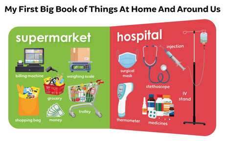 My First Big Book Boxset-Volume 2 (5 Books): A Pizza Box of 5 Large Font Illustrated Board Books on Animals, Birds, Fruits and Vegetables, Seasons, Opposites and Things at Home | Vocabulary Builder for Preschool Kids, Toddlers I Perfect Gift Set I Ages 1+ - Retail Maharaj