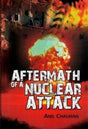 Aftermath of a Nuclear Attack - Retail Maharaj