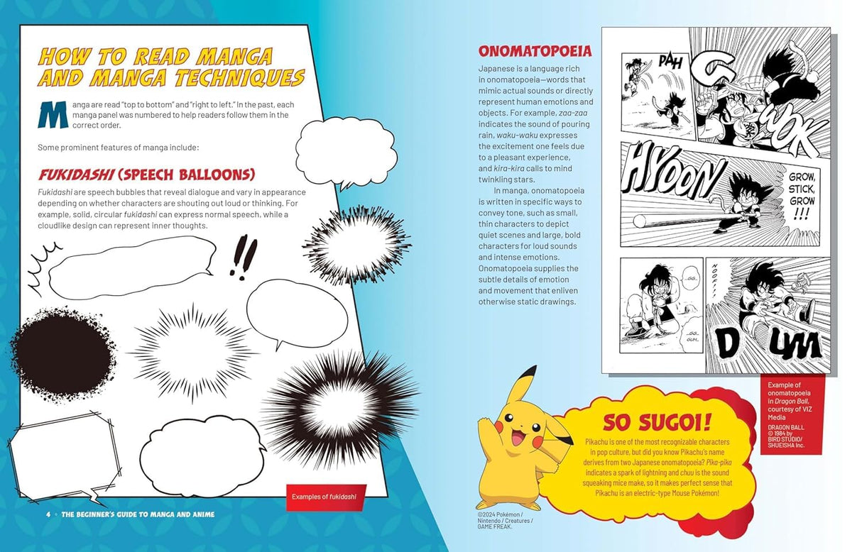 The Beginner's Guide To Manga And Anime - Retail Maharaj