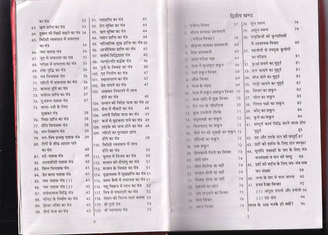 Yantra Tantra Mantra Shiromani Part-1+ Part-2 (Two volume set) - Retail Maharaj