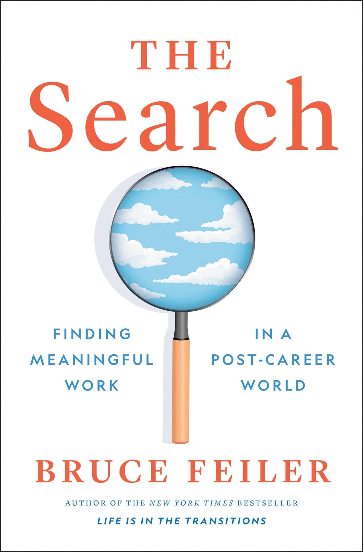 The Search: Finding Meaningful Work in a Post-Career World - Retail Maharaj