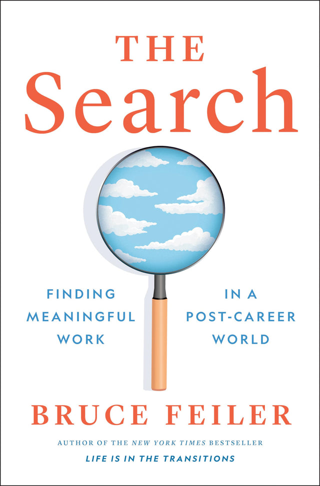 The Search: Finding Meaningful Work in a Post-Career World - Retail Maharaj