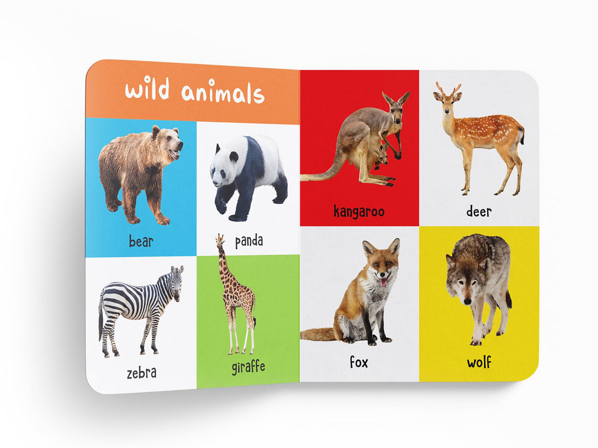 My First 100 Animals and Birds: Board Book for Kids | Part of My 100 Library Series | Learn Names of Wild Animals, Farm Animals, Pets & Birds with Bright Pictures | Early Learning Book for Babies, Toddlers & Preschoolers | Ages 0–5 Years - Retail Maharaj