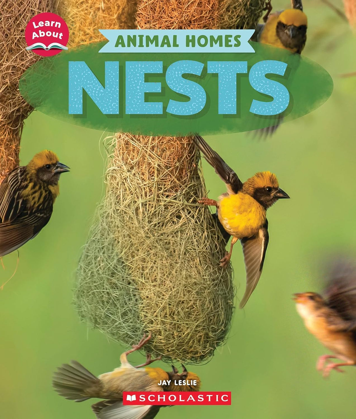 Learn About: Animal Homes: Nests - Retail Maharaj