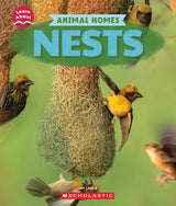 Learn About: Animal Homes: Nests - Retail Maharaj