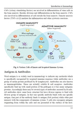Basics of Immunology - Retail Maharaj