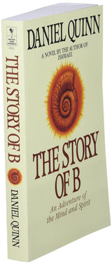 The Story of B: 2 (Ishmael Series) - Retail Maharaj