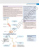 ILLUSTRATED SURGERY A BASIC ROAD MAP FOR THE POSTGRADUATES - Retail Maharaj