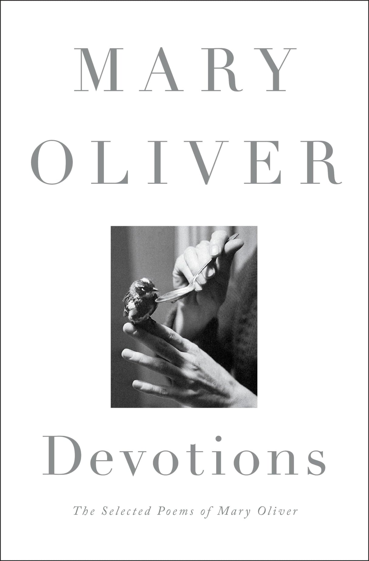 Devotions - Retail Maharaj