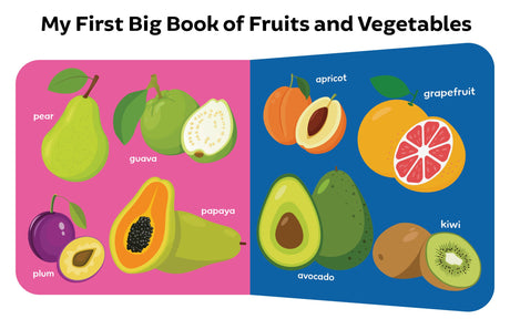 My First Big Book Boxset-Volume 2 (5 Books): A Pizza Box of 5 Large Font Illustrated Board Books on Animals, Birds, Fruits and Vegetables, Seasons, Opposites and Things at Home | Vocabulary Builder for Preschool Kids, Toddlers I Perfect Gift Set I Ages 1+ - Retail Maharaj