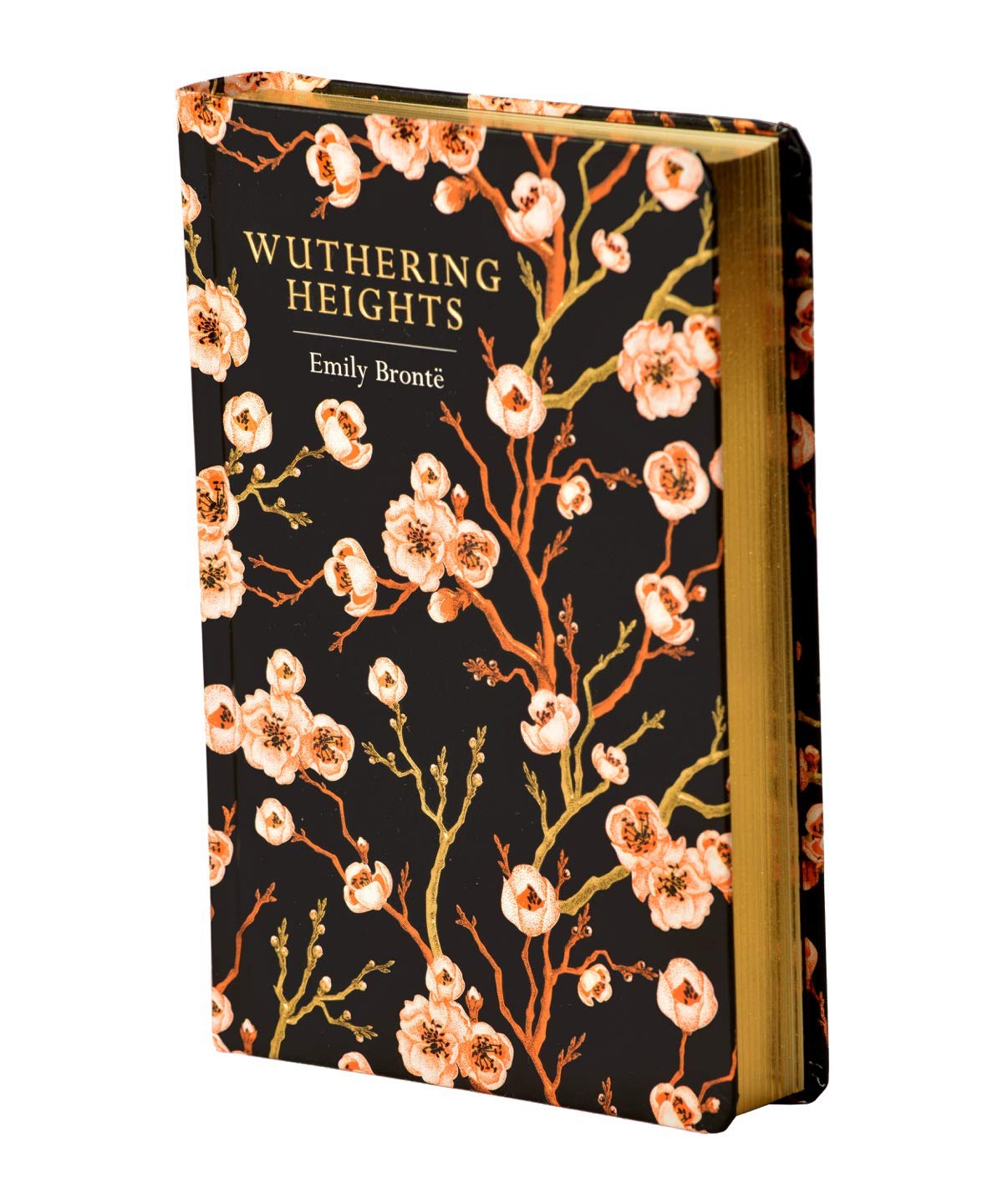 Wuthering Heights - Retail Maharaj