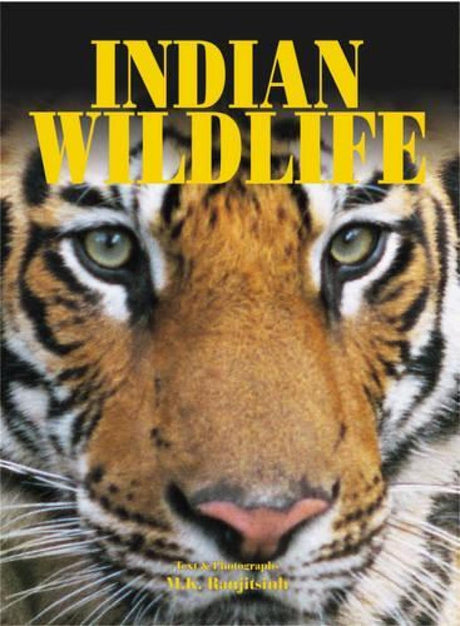 India's Wild Wonders - Retail Maharaj