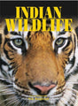 India's Wild Wonders - Retail Maharaj