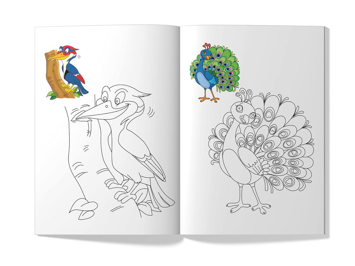 Little Artist Series Birds: Copy Colour Books - Retail Maharaj