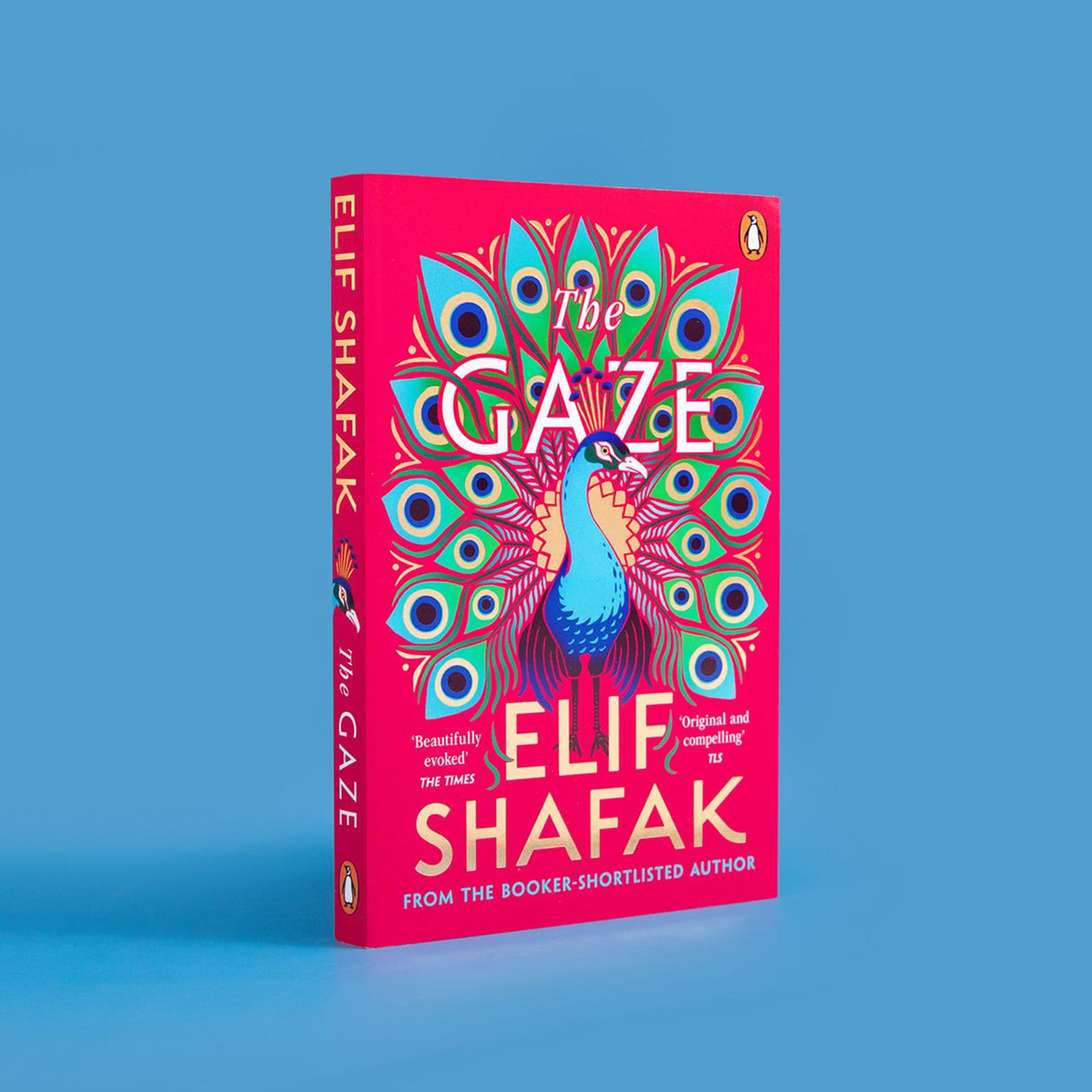 The Gaze - Retail Maharaj