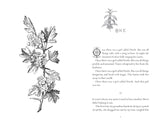Nettle: Faery Realms series: The darkly enchanting YA fantasy - Retail Maharaj