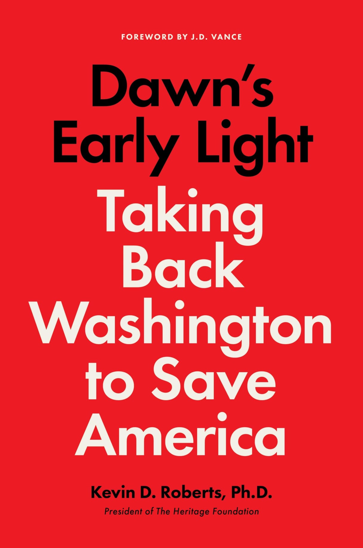 Dawn's Early Light: Taking Back Washington to Save America - Retail Maharaj